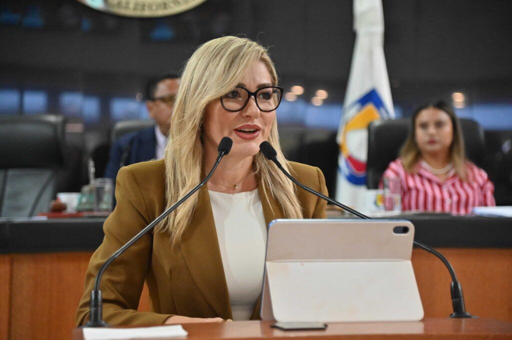 Una iniciativa presentada en el Congreso de Baja California Sur propone que las personas puedan elegir si el apellido materno o paterno aparece primero en las actas de nacimiento.