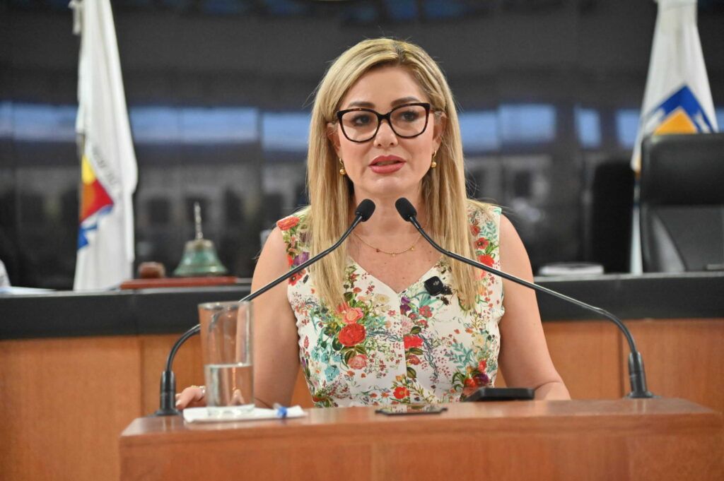 Diputada Karina Olivas (PT) propone reforma para que Defensoría Pública represente a adultos mayores y vulnerables en juicios mercantiles que pongan en riesgo su patrimonio.
