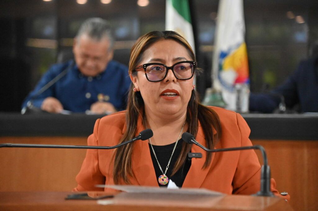 La propuesta plantea que el marco jurídico estatal cuente progresivamente con versiones audiovisuales dirigidas a personas con discapacidad auditiva.