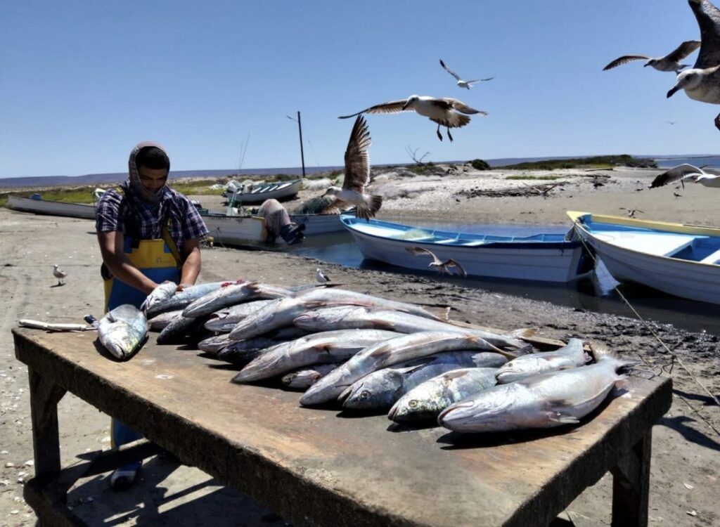 El programa busca brindar respaldo económico a pescadores, buzos y acuicultores ante casos de fallecimiento o invalidez permanente.