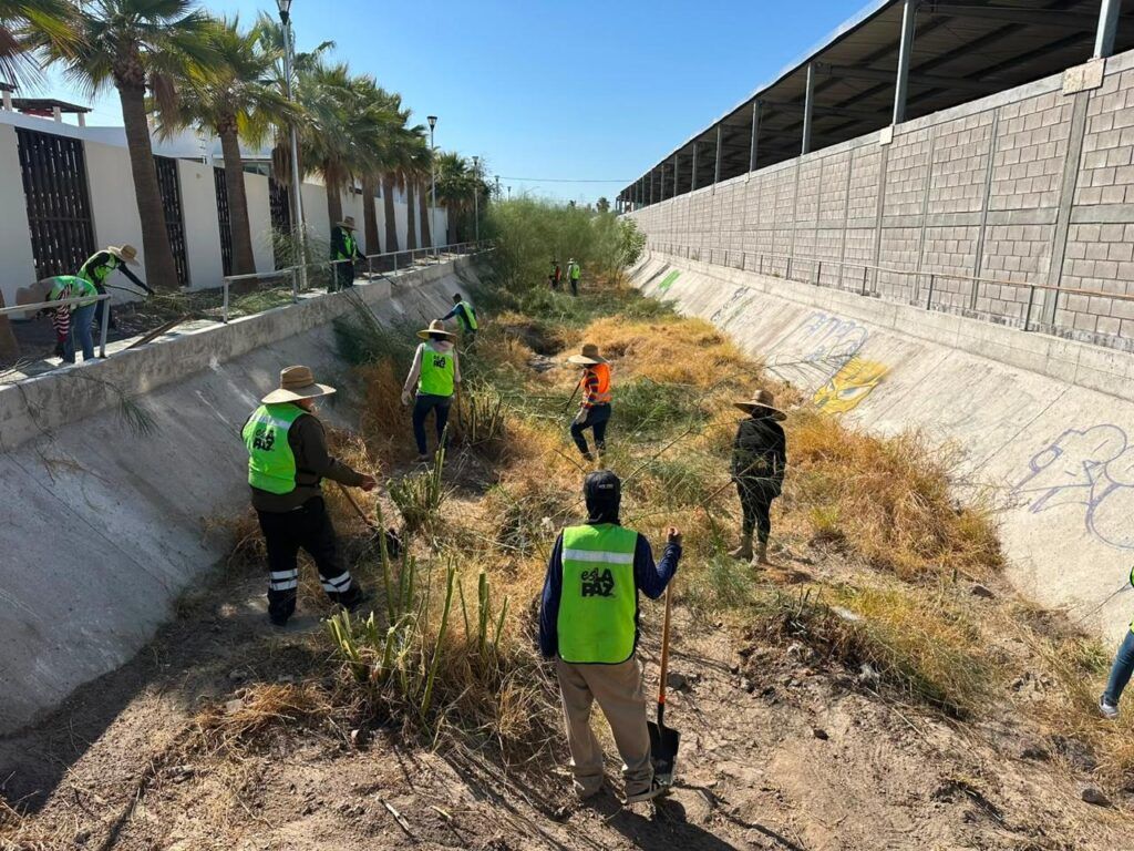 El Ayuntamiento de La Paz mantiene trabajos de limpieza y desazolve en arroyos, canales y puntos de desagüe como parte de las acciones preventivas del Operativo Huracanes 2026.