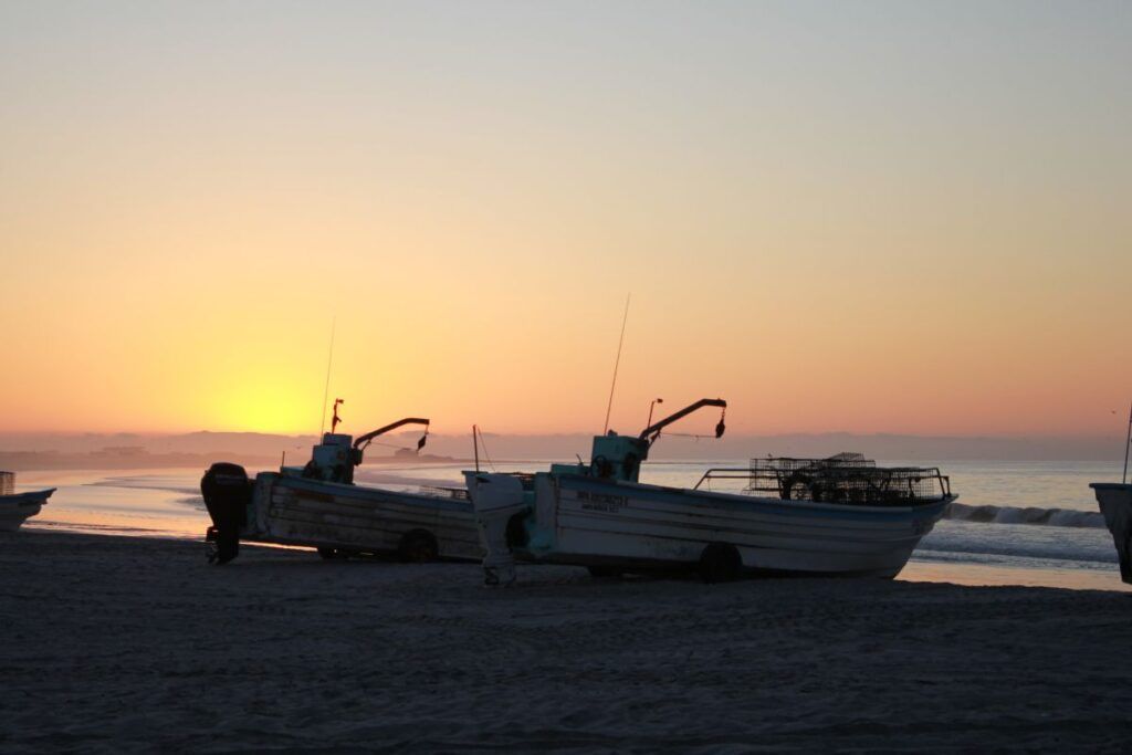 Desde las mareas rojas hasta la migración de especies, los efectos del calentamiento del mar ya transforman la pesca sudcaliforniana.