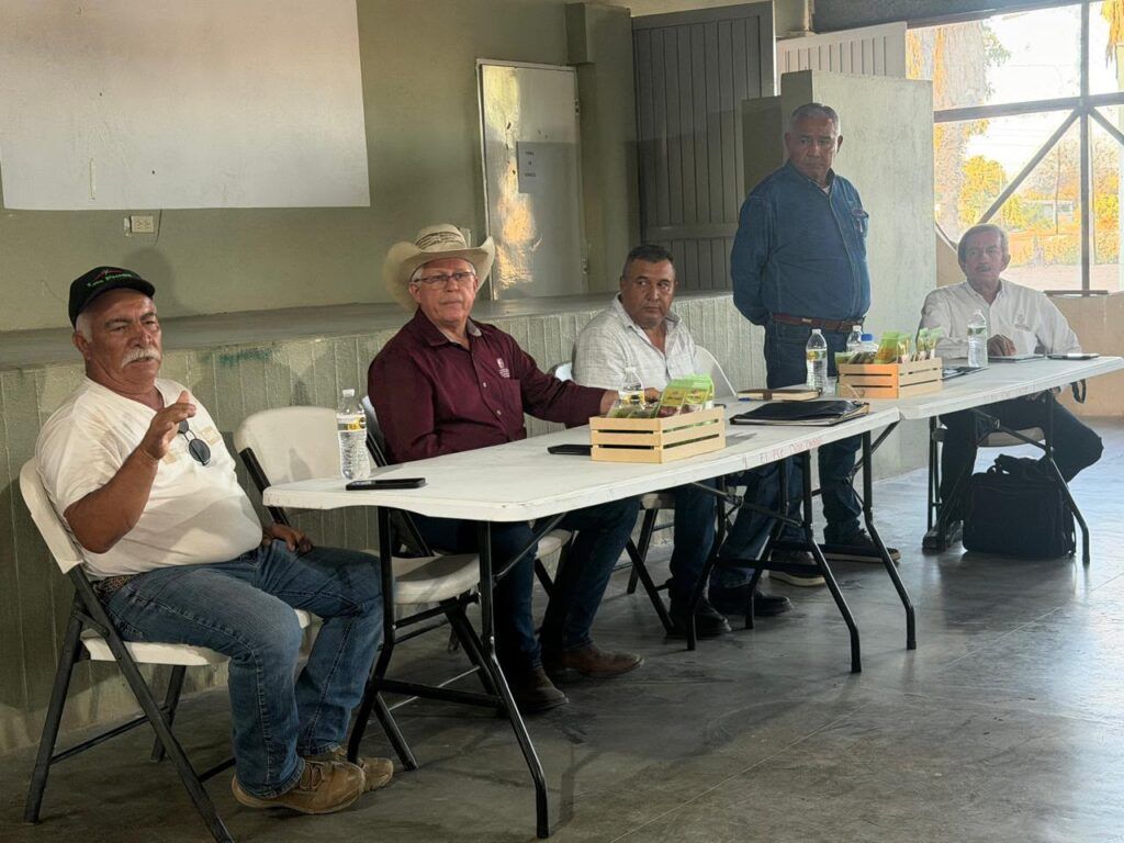 La estrategia busca abrir nuevos mercados y fortalecer la economía de más de 100 familias productoras de higo blanco en Mulegé.