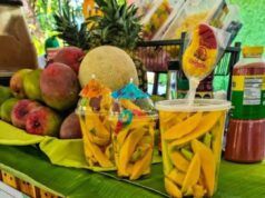 Todos Santos celebrará este domingo la XVII edición del Festival del Mango