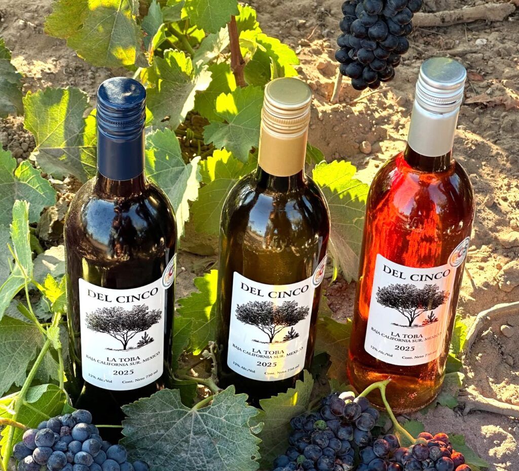 El encuentro reunirá gastronomía regional, productores de vino, granjas ostrícolas y actividades enoturísticas para fortalecer la oferta turística de Baja California Sur.