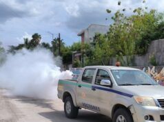 Iniciará fumigación contra el dengue en colonias de La Paz y Los Cabos