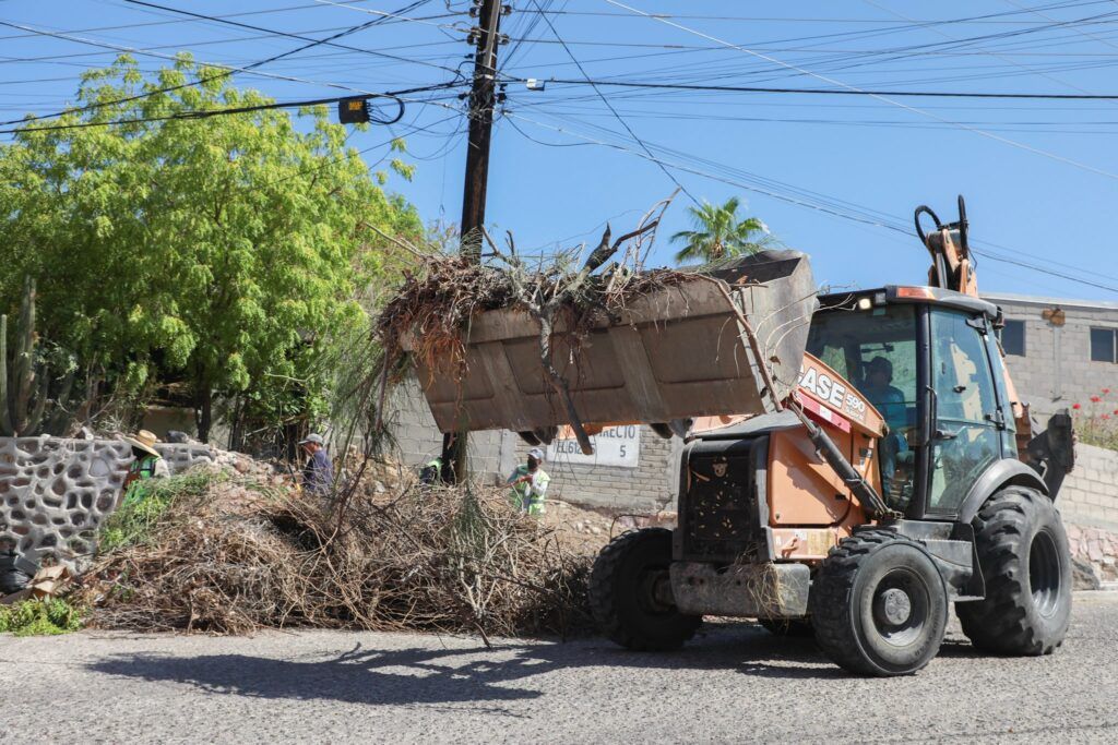 En casi dos meses, el programa municipal ha intervenido 13 colonias con acciones de limpieza, bacheo y rehabilitación de espacios públicos.