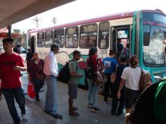 ¿Aumentará el transporte público en La Paz? esto dice el ayuntamiento