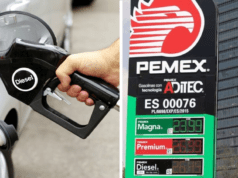 Profeco: El 84% de las gasolineras vende el litro de diésel en $27.00 pesos; invita a consultar mapa interactivo