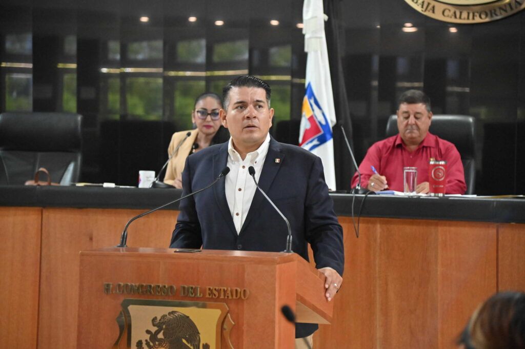 La iniciativa plantea secretarías técnicas, programas anuales de trabajo, sesiones mensuales e informes semestrales de actividades.