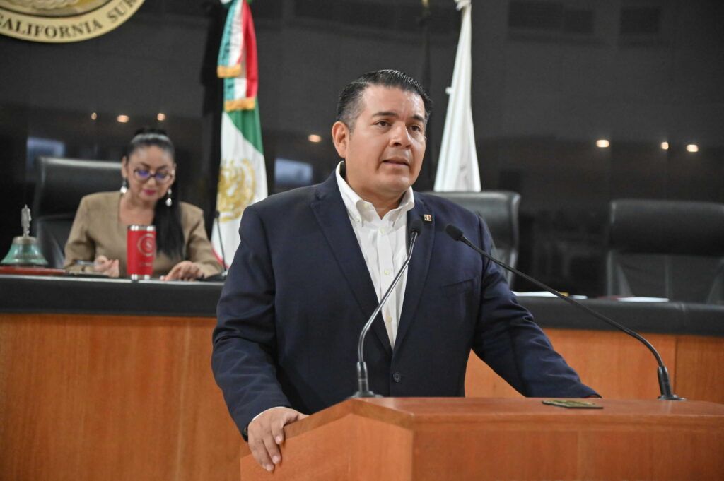 La iniciativa plantea hacer obligatorias medidas de accesibilidad para que personas con discapacidad puedan ejercer su voto sin barreras.