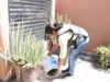 Suben a 197 los casos de dengue en BCS