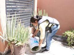 Suben a 197 los casos de dengue en BCS