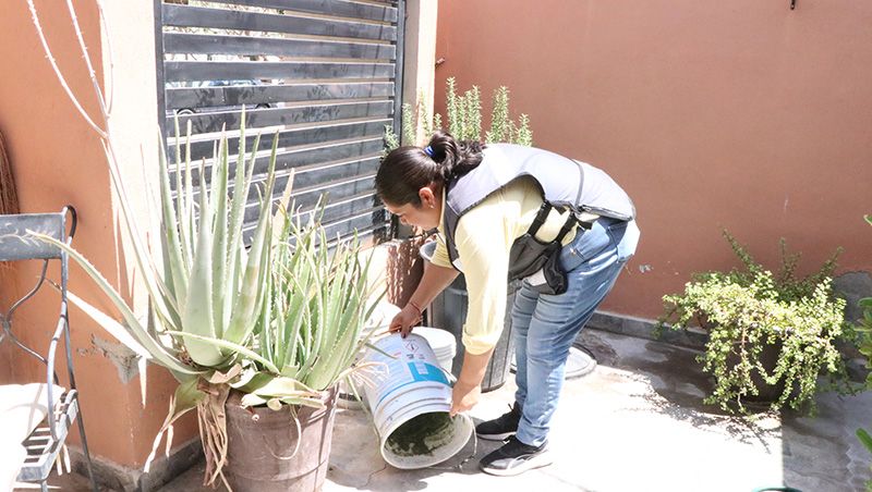 Salud advierte que el agua acumulada favorece la reproducción del mosquito transmisor y pide reforzar el saneamiento en los hogares.