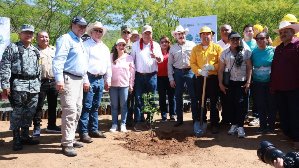 La Jornada Nacional de Reforestación 2026 contempla acciones en 831 hectáreas de La Paz y Comondú para fortalecer la conservación ambiental.
