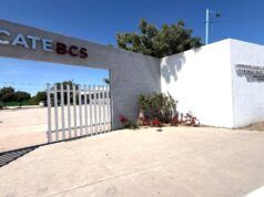 Estos son los cursos que ICATEBCS ofrece durante agosto en BCS