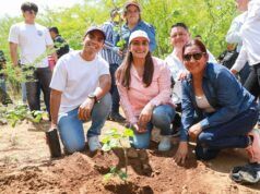 Más de 10 mil árboles fortalecen las áreas verdes de La Paz