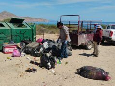 Recolectan más de 49 toneladas de residuos en playas de La Paz durante el verano