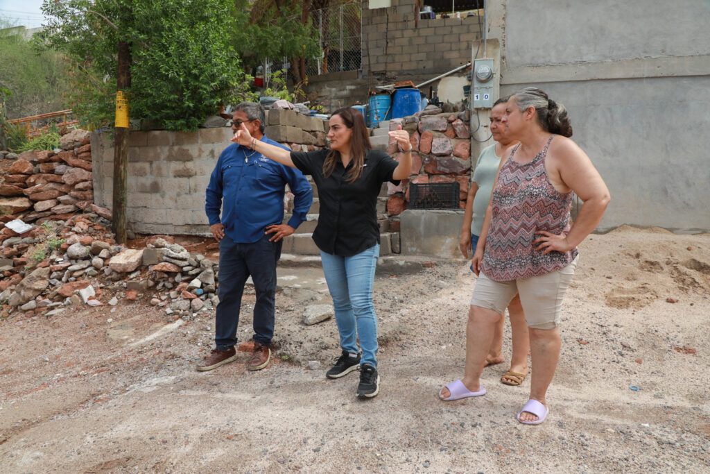 Las lluvias de la madrugada también provocaron caída de árboles, acumulación de arena y afectaciones menores en vialidades de La Paz.