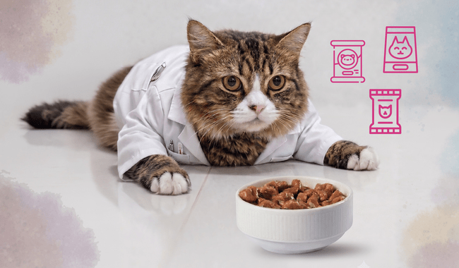 ¿Comida para el michi? Profeco detecta publicidad engañosa y alimentos de baja calidad