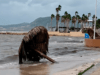 Lluvias en BCS: prevén hasta 150 mm este 18 de agosto