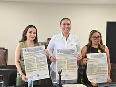 Lanzan nueva convocatoria para titular de la Defensoría Electoral