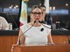 Alertan riesgo de colapso en viviendas de Valle del Mezquite