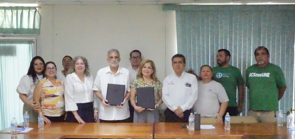 Durante el semestre anterior, la totalidad del alumnado recibió formación sobre los derechos y la participación de las personas con discapacidad.