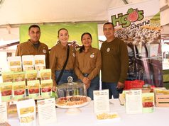 Mulegé produce 240 toneladas de dátil al año