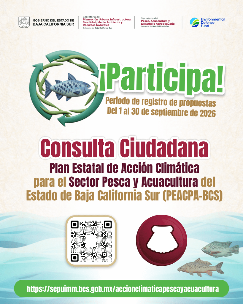 Hasta el 30 de septiembre, ciudadanía y sectores productivos podrán presentar propuestas para fortalecer la adaptación y resiliencia de las comunidades costeras.