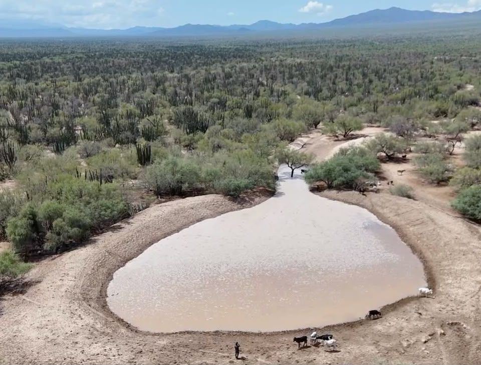 Las obras construidas y rehabilitadas en comunidades rurales permitieron almacenar agua que será utilizada por rancheros durante los próximos meses.