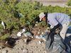Casi 75% de la basura retirada de playas de La Paz fue inorgánica