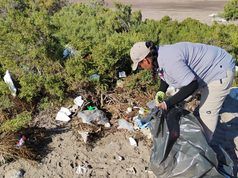 Casi 75% de la basura retirada de playas de La Paz fue inorgánica