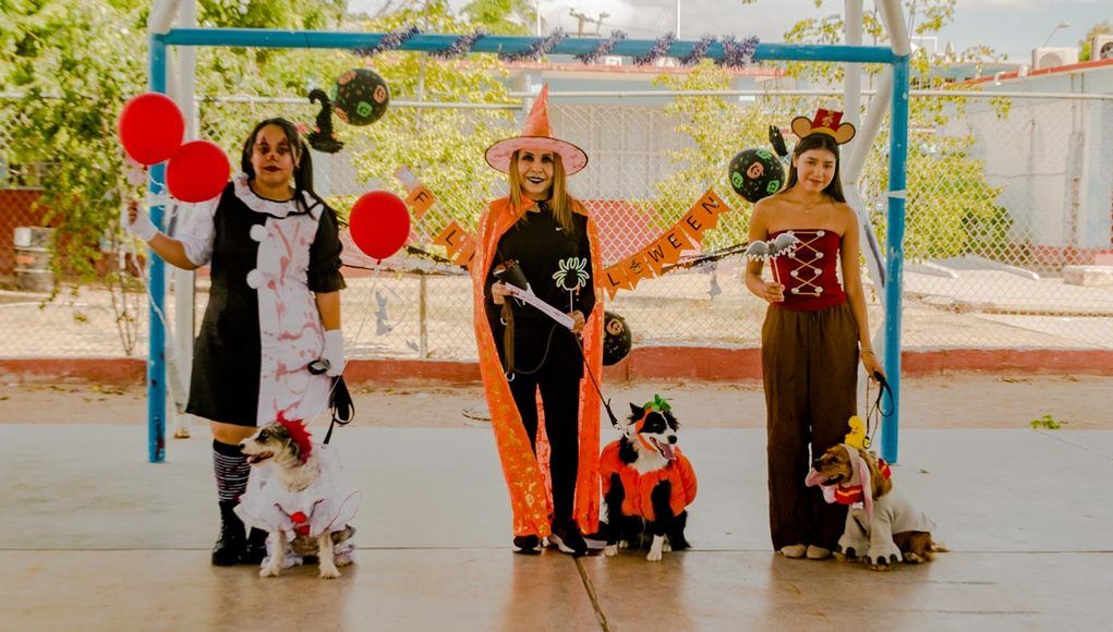 Brujas, payasos y Dumbo: premian disfraces caninos de Halloween en La Paz