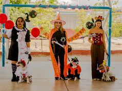 Brujas, payasos y Dumbo: premian disfraces caninos de Halloween en La Paz