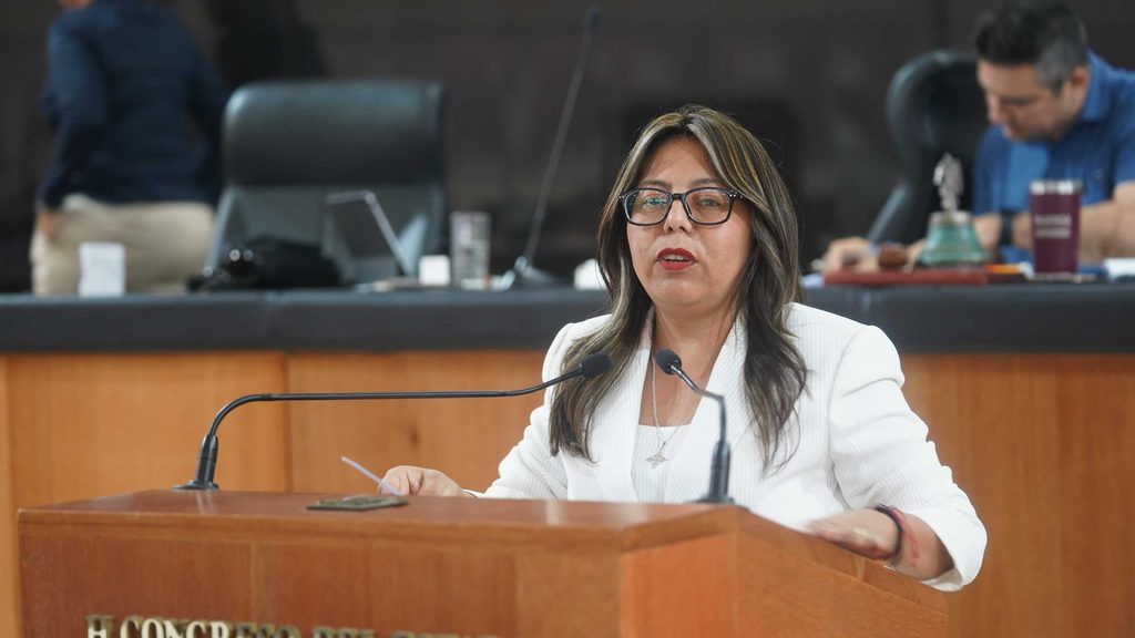 La iniciativa de la diputada Teresita Valentín Vázquez plantea incorporar herramientas de reproducción de voz sintética de manera opcional.