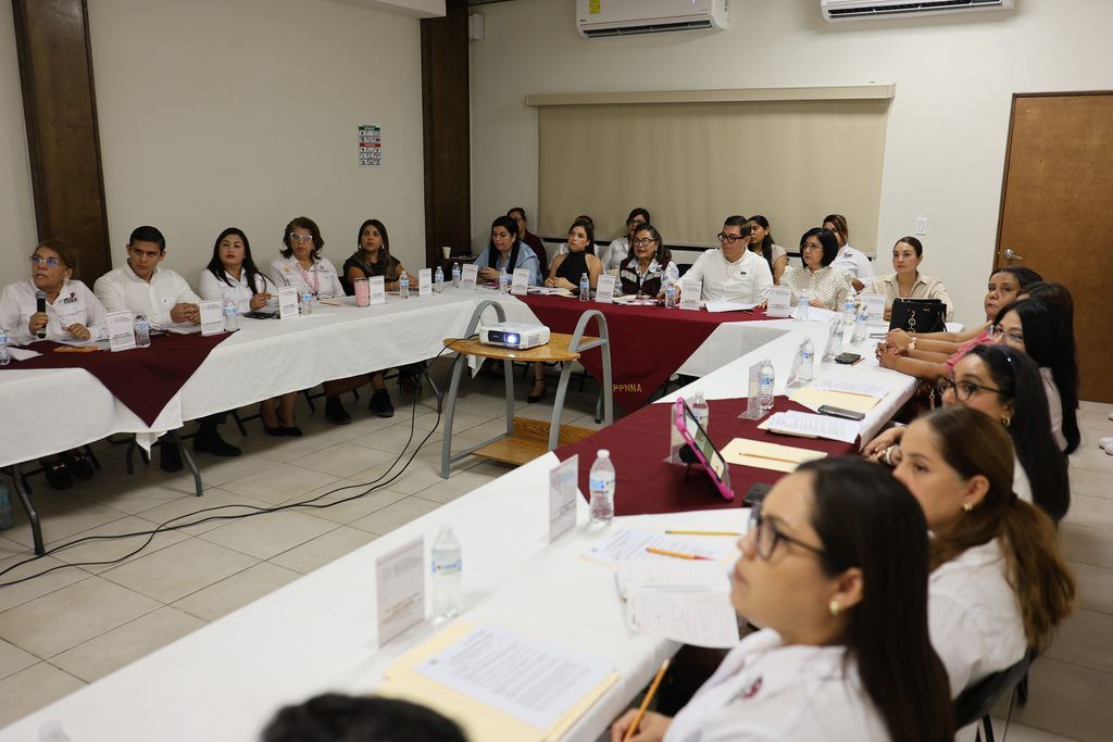 Durante la sesión 54 del Consejo Estatal de Adopciones también se presentaron casos de niñas, niños y una adolescente susceptibles de adopción.