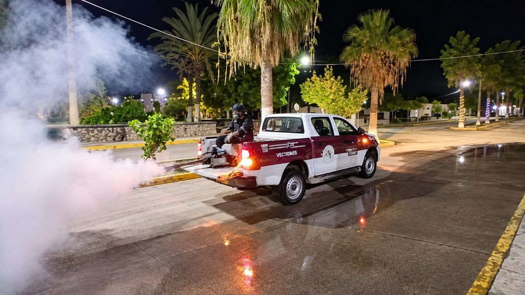 Las jornadas se realizaron del 29 de septiembre al 10 de octubre, tras el paso del huracán Polo, con apoyo de brigadas federales.