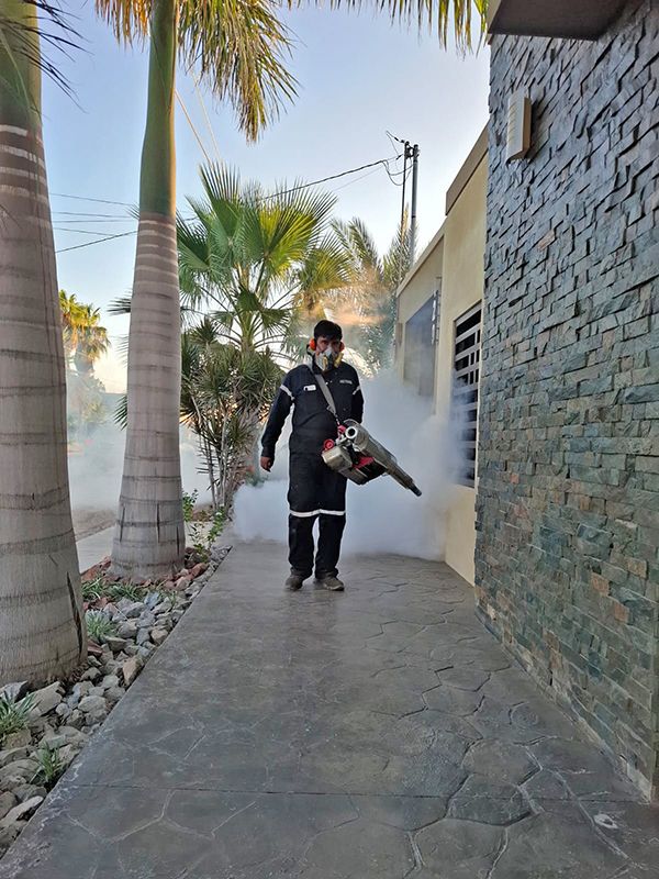 La Secretaría de Salud incorporará personal para visitar viviendas y retomará la fumigación vehicular en colonias con mayor incidencia de la enfermedad.