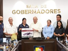 Autorizados para avistamiento de tiburón ballena en La Paz