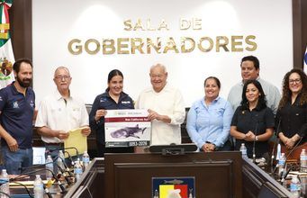 Autorizados para avistamiento de tiburón ballena en La Paz