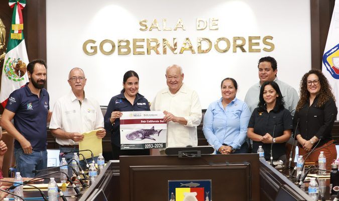 Autorizados para avistamiento de tiburón ballena en La Paz