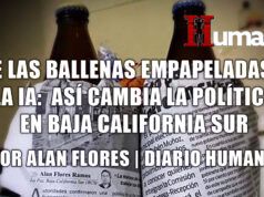 De las ballenas empapeladas al deepfake: así cambia la política en Baja California Sur