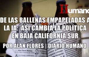 De las ballenas empapeladas al deepfake: así cambia la política en Baja California Sur