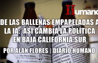 De las ballenas empapeladas al deepfake: así cambia la política en Baja California Sur