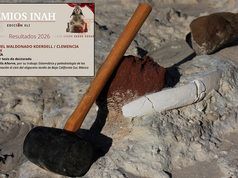 Ballenas fósiles de Baja California Sur llevan a Azucena Solís al Premio INAH por tesis doctoral